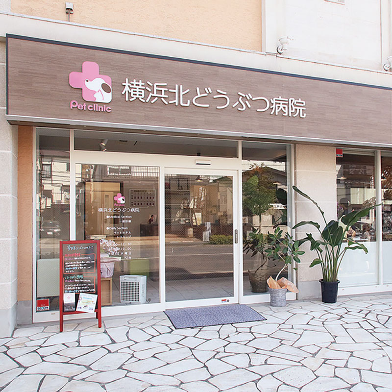 ペット家族｜ペットホテル横浜北どうぶつ病院